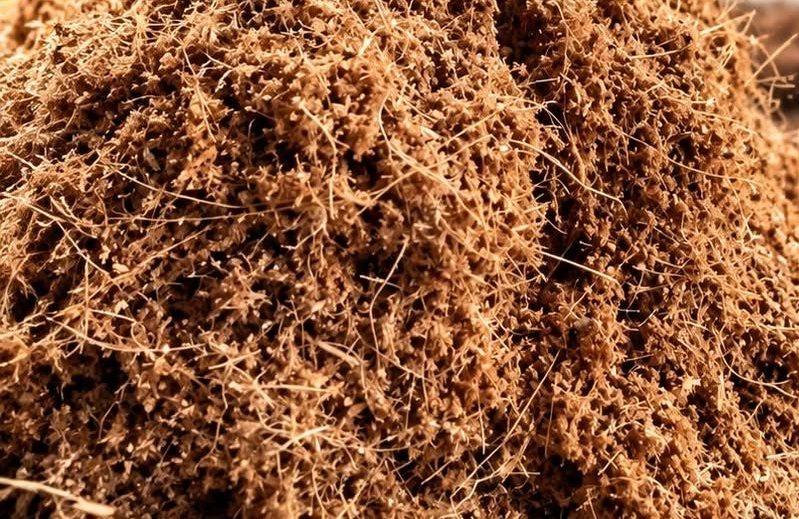 Fibre de coco finement broyée